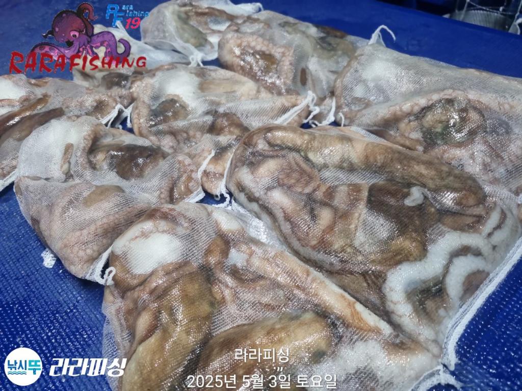 F26694372E.jpg