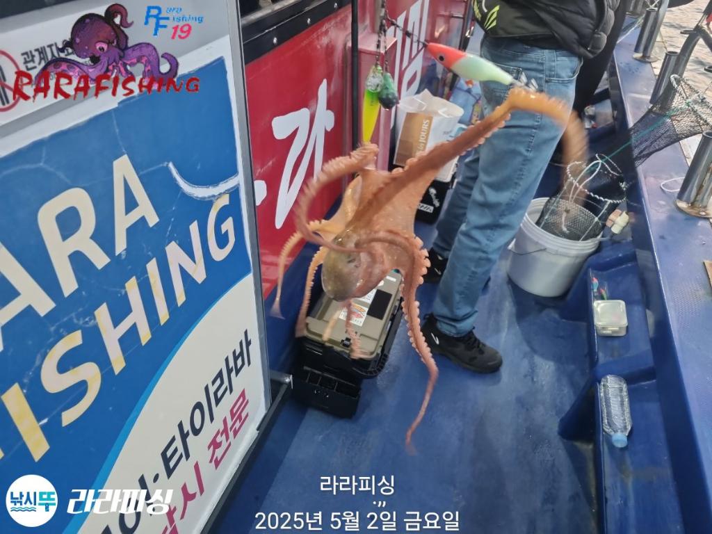 F2669459VL.jpg