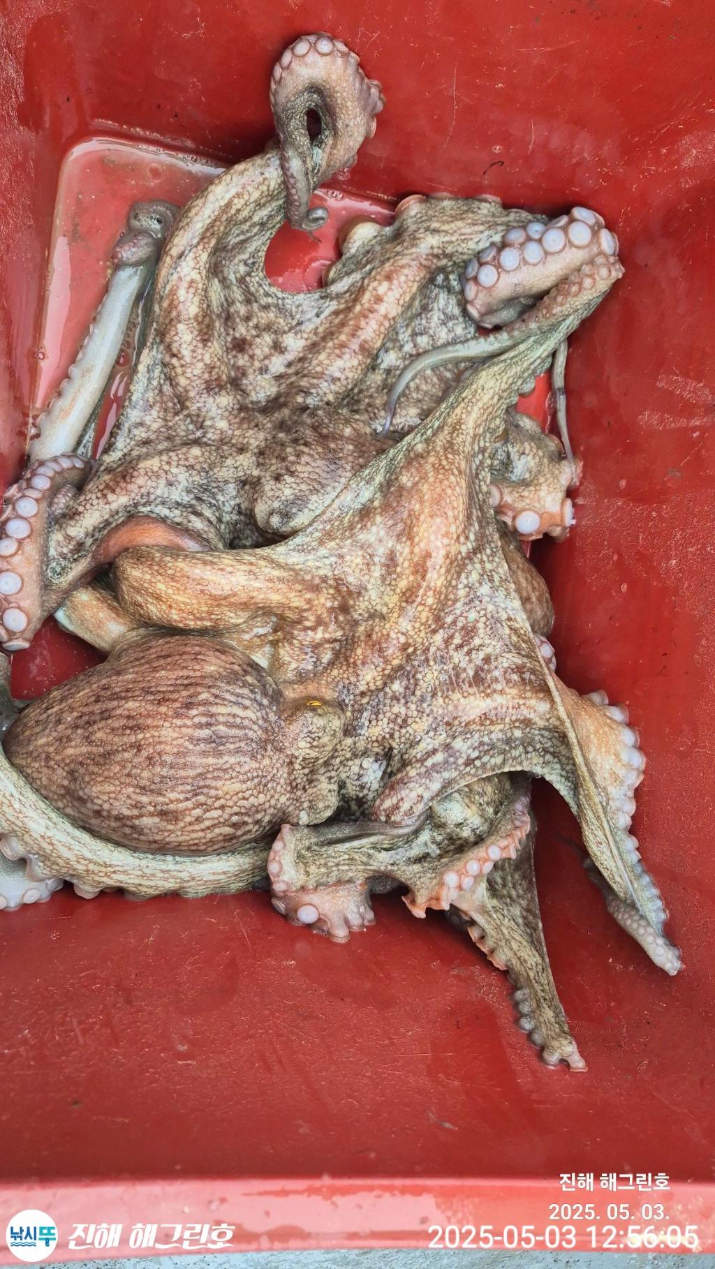 F2669667Z7.jpg
