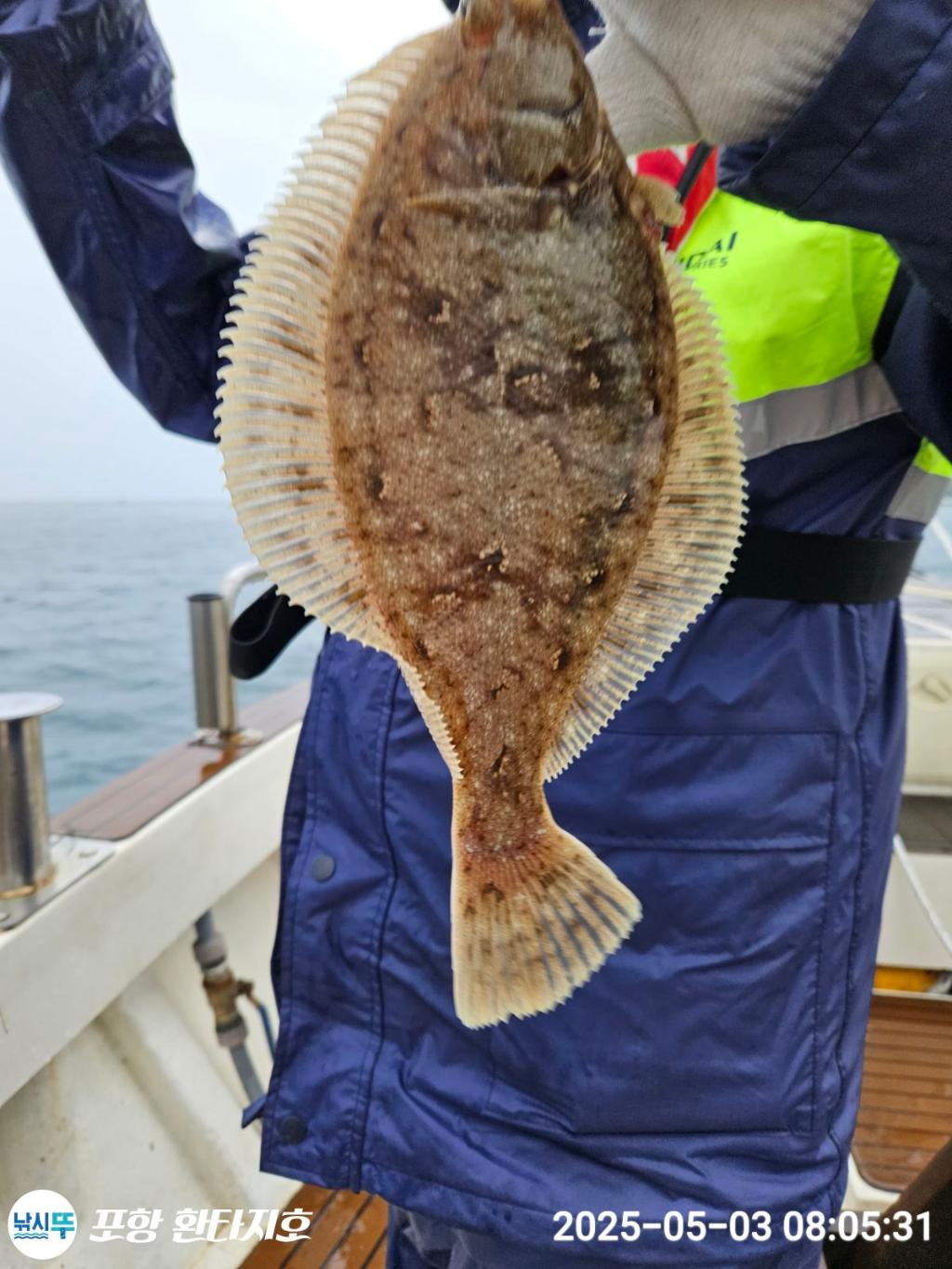 낚시뚜,도다리,포항 동빈항,포항 환타지호,낚시뚜16