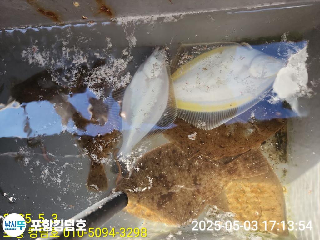 F2669907ZK.jpg