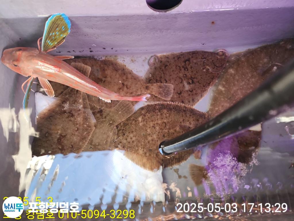 F2669909JJ.jpg