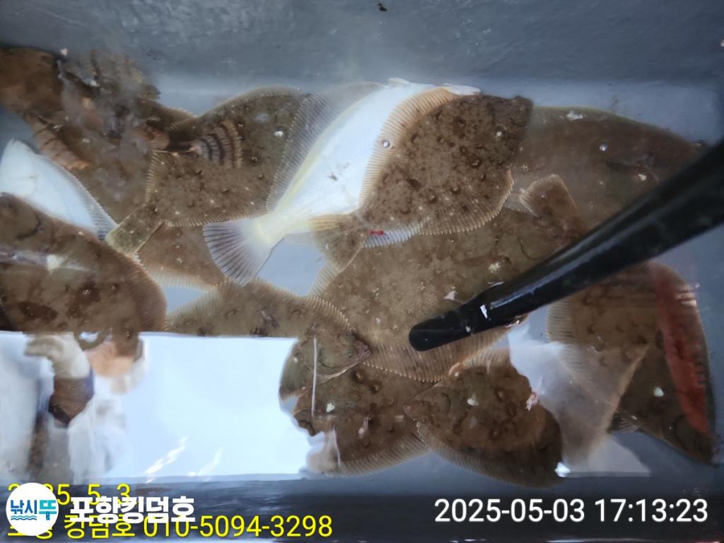 F26699103V.jpg