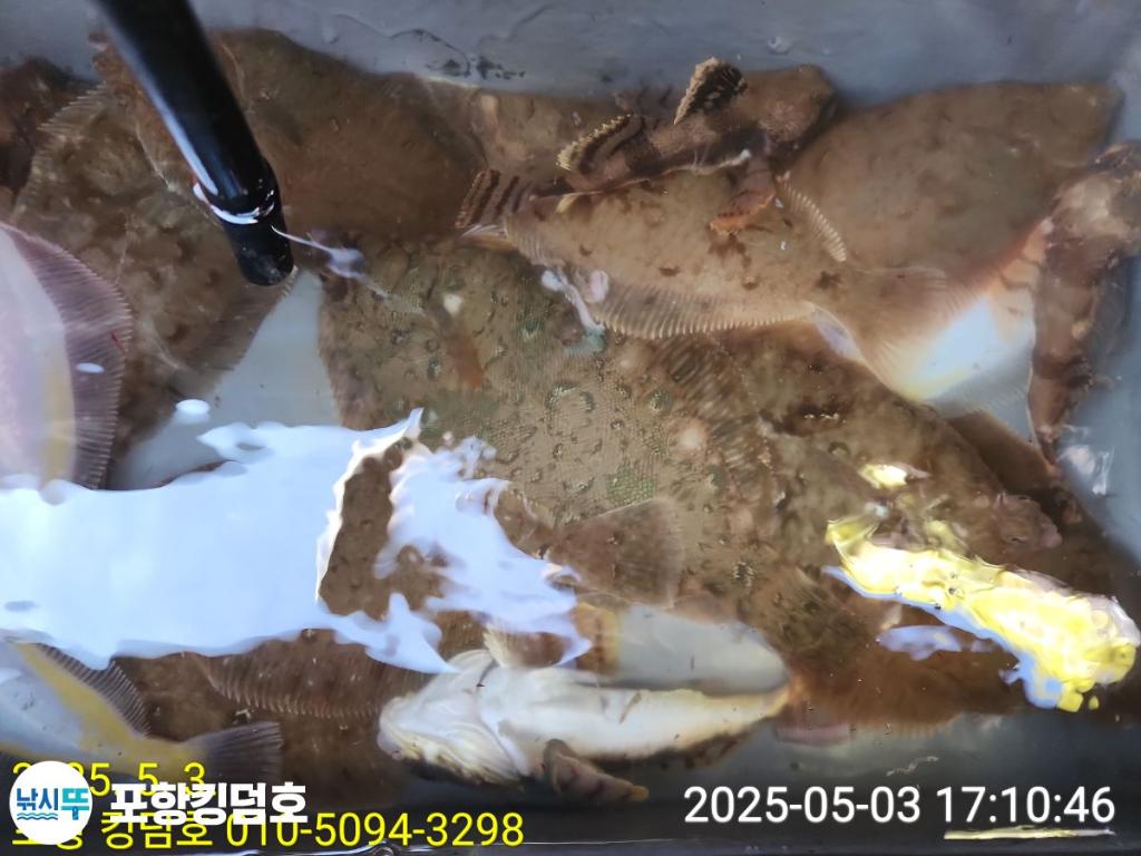 F2669921YB.jpg