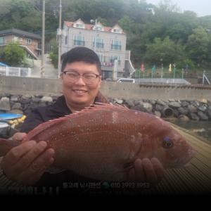 조황, ((풍화리))참돔꼬라박기