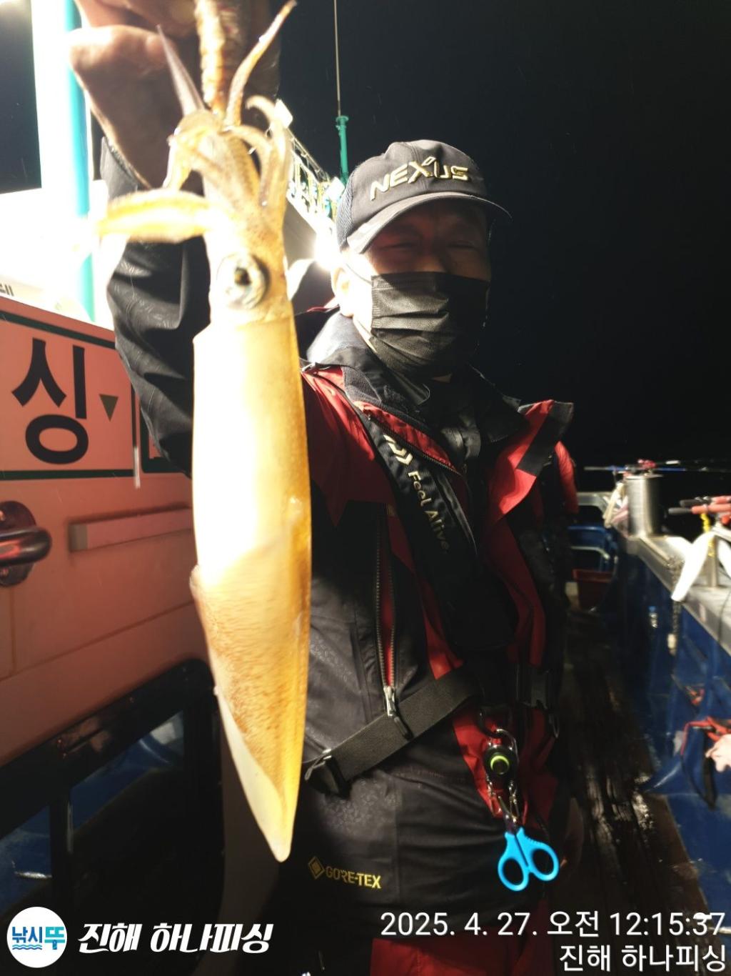 낚시뚜,한치,진해 안골항,진해 하나피싱,낚시뚜3