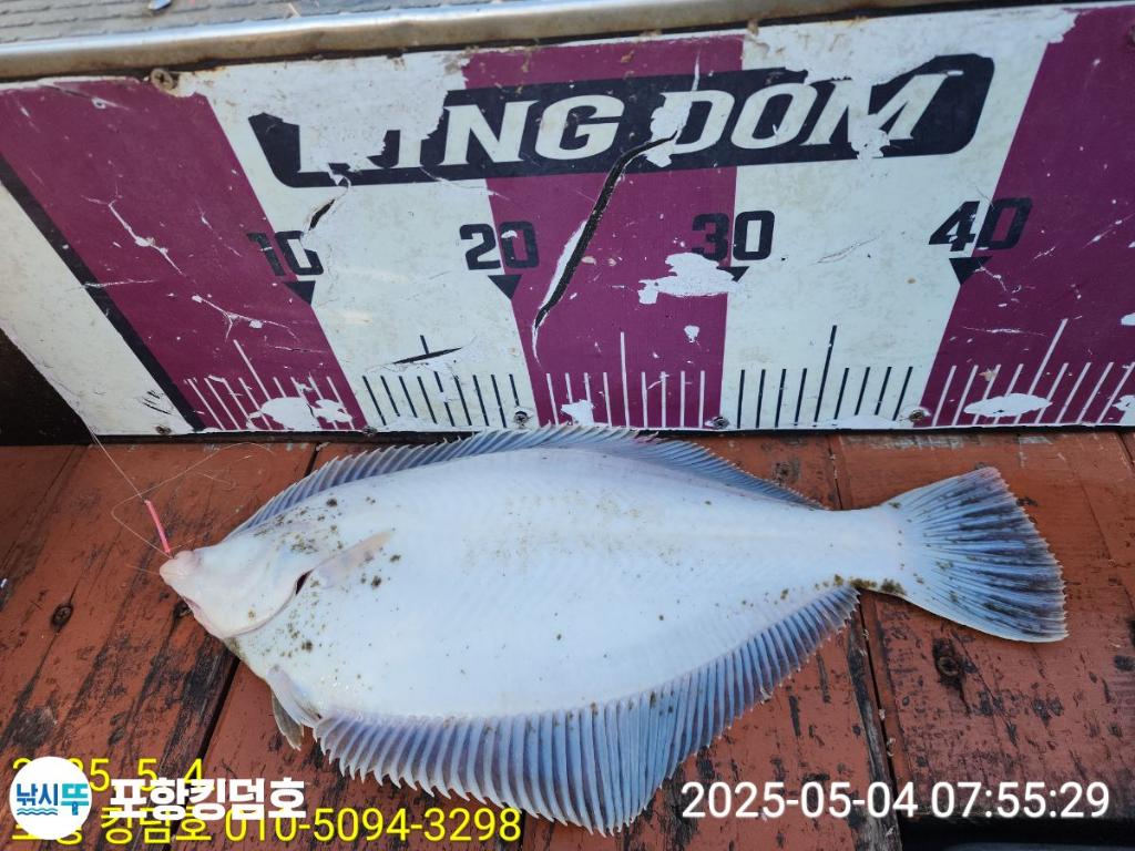 F2670536OY.jpg