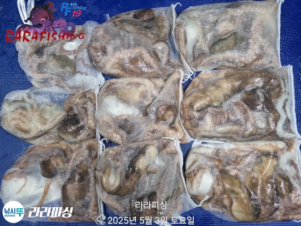 F2670597PA.jpg