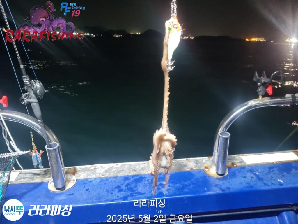 F26706068O.jpg