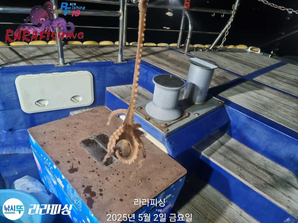F26706104F.jpg