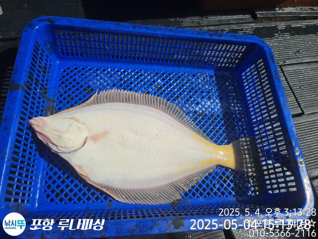 F2670728PU.jpg