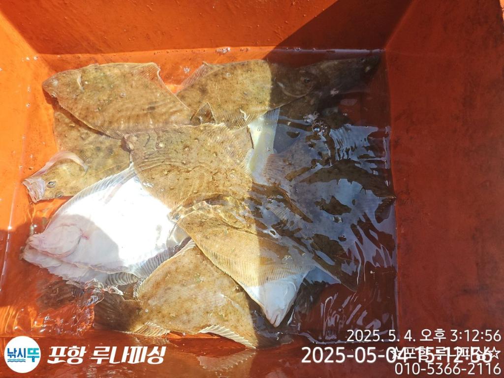 F2670729E1.jpg
