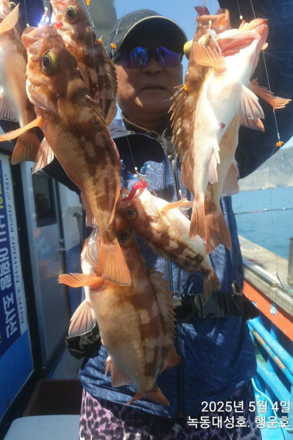 낚시뚜,우럭,열기,녹동항,녹동대성호,낚시뚜6