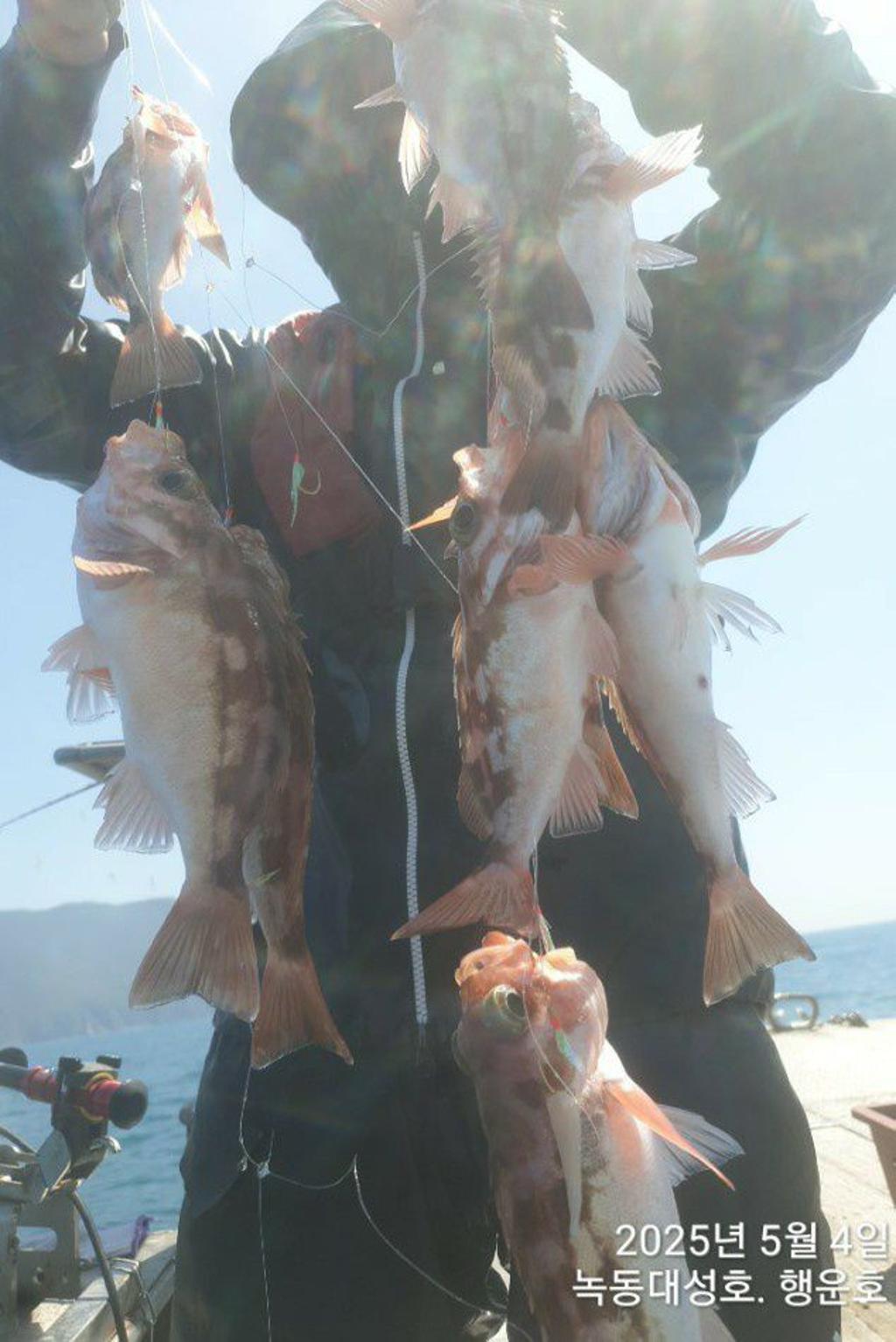낚시뚜,우럭,열기,녹동항,녹동대성호,낚시뚜5