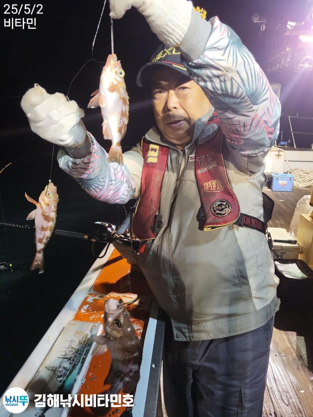 낚시뚜,볼락,한치,갈치,진해 안골항,김해낚시 비타민호,낚시뚜8
