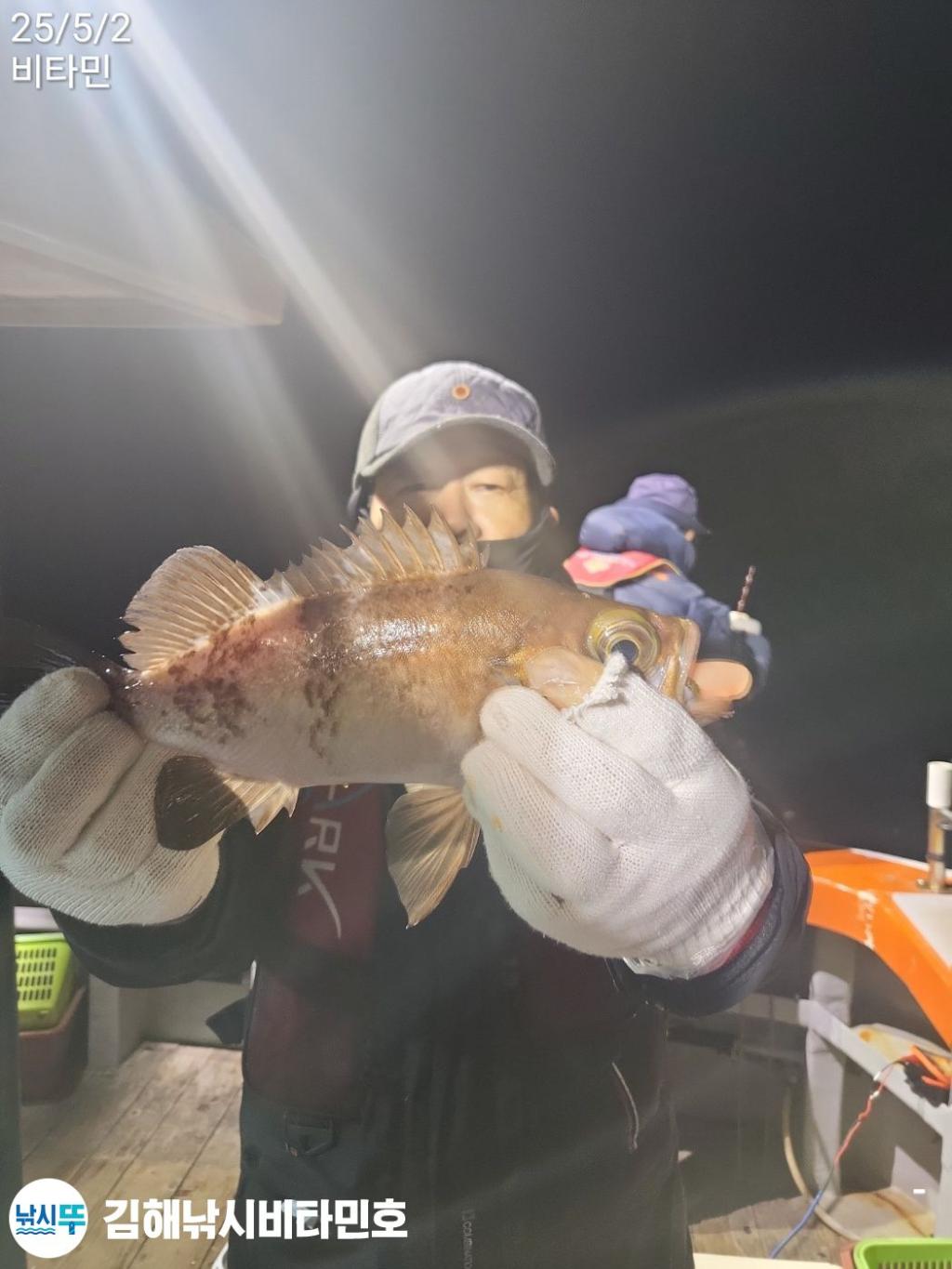 낚시뚜,볼락,한치,갈치,진해 안골항,김해낚시 비타민호,낚시뚜3