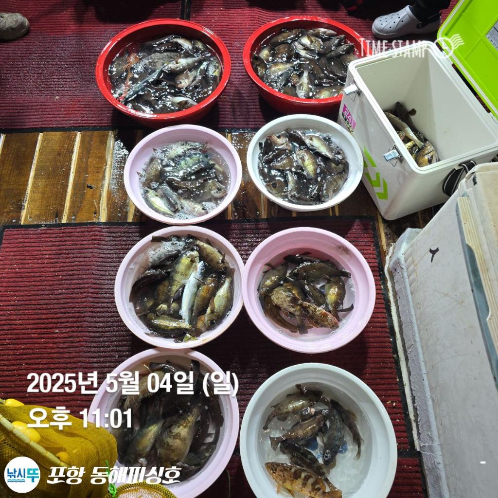 F2671019Z9.jpg