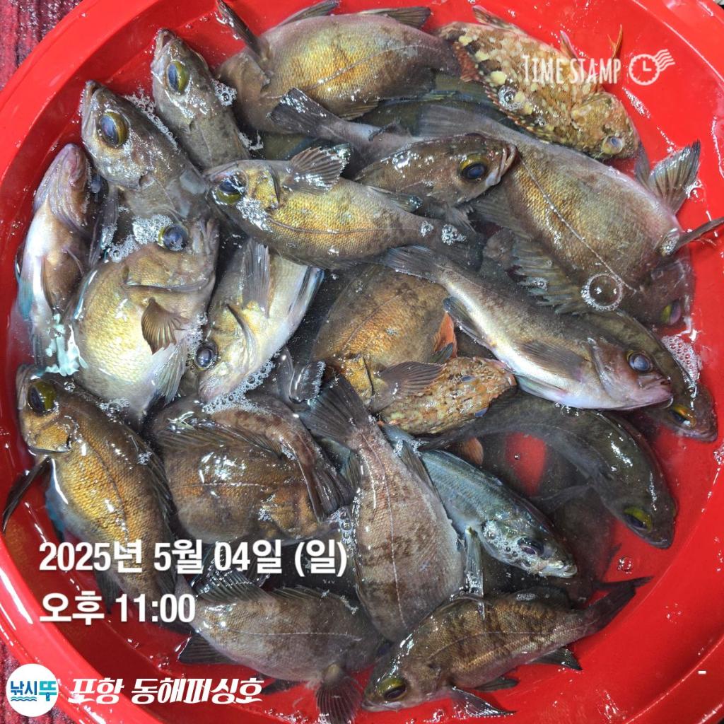 F2671027TB.jpg