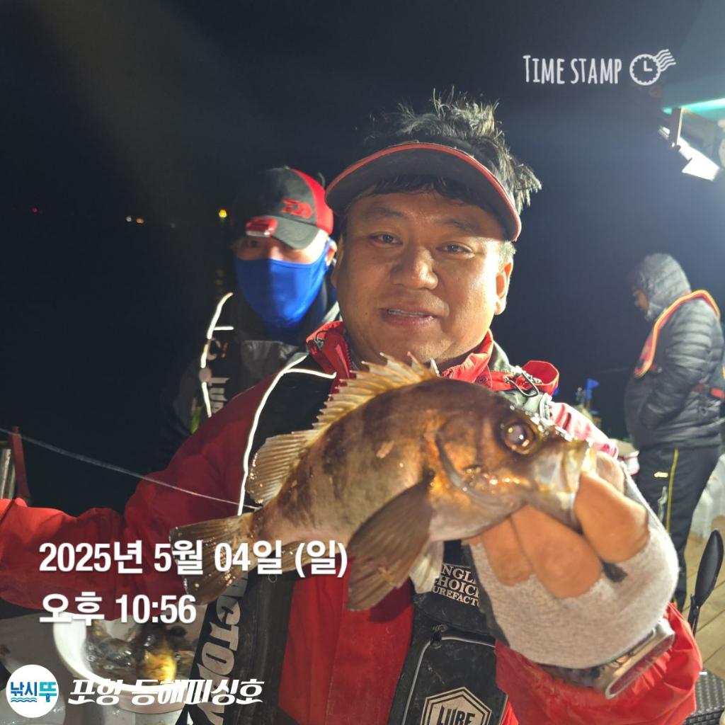 F2671028WU.jpg