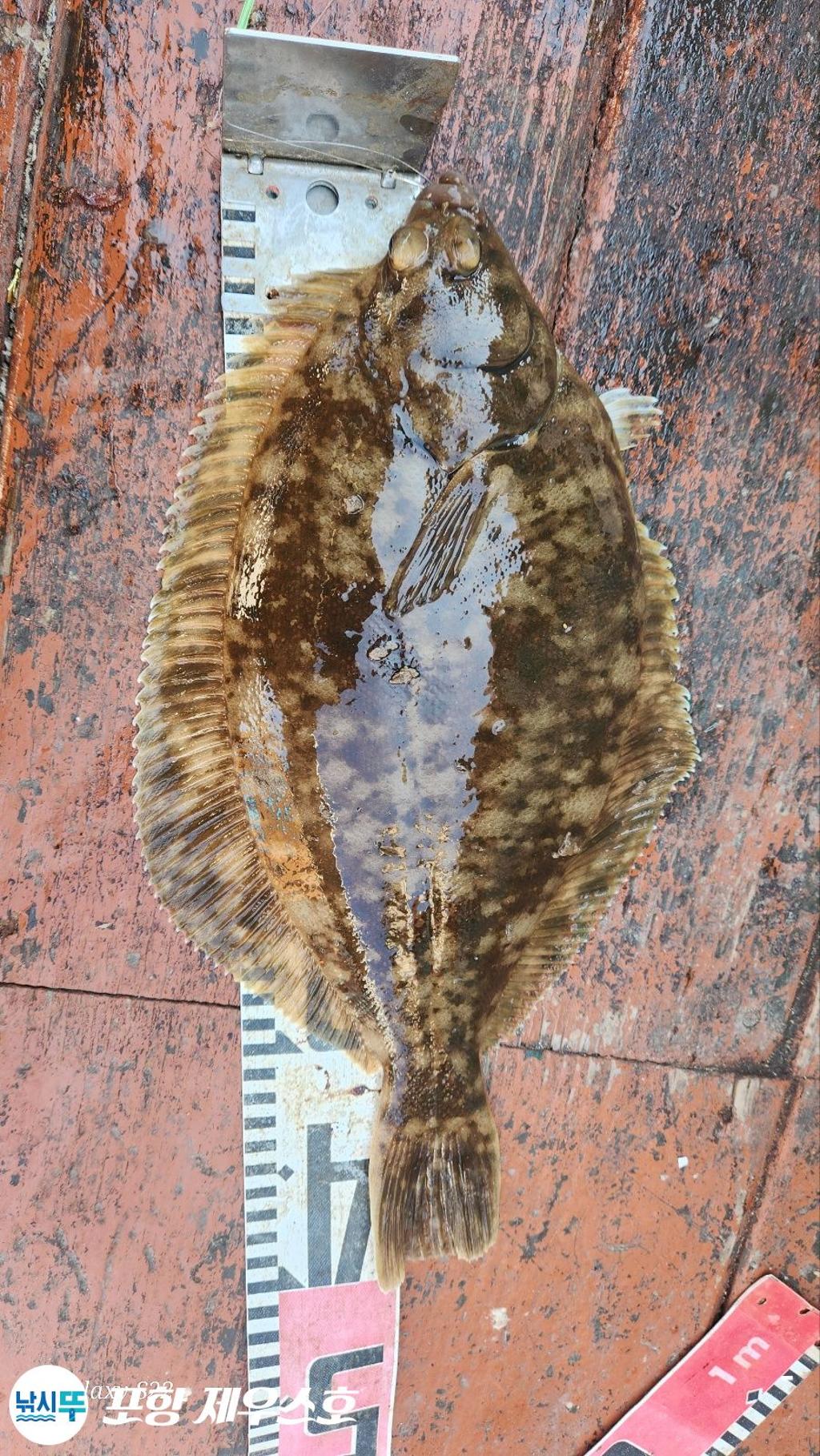 F2671198J9.jpg