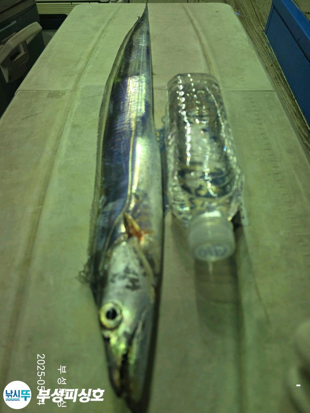 F2671255O0.jpg