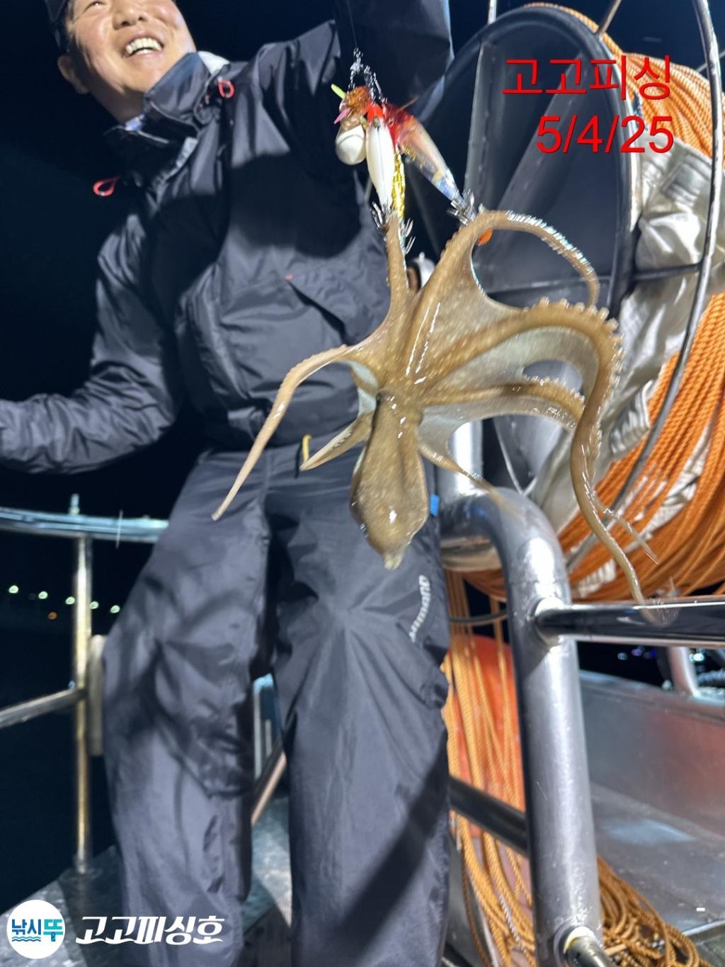 F2671287US.jpg