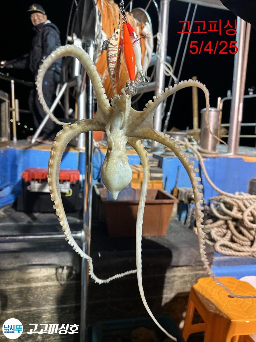 F2671292XT.jpg