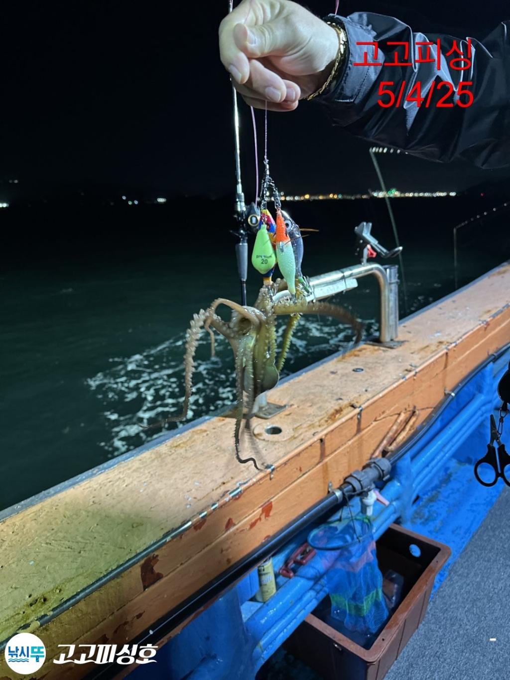 F2671295WV.jpg