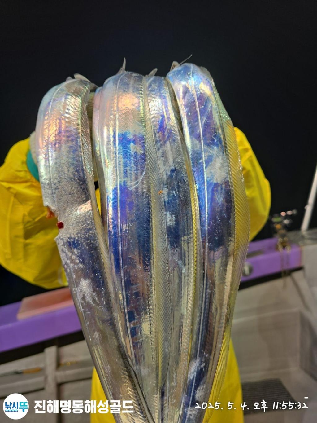 F2671342E3.jpg