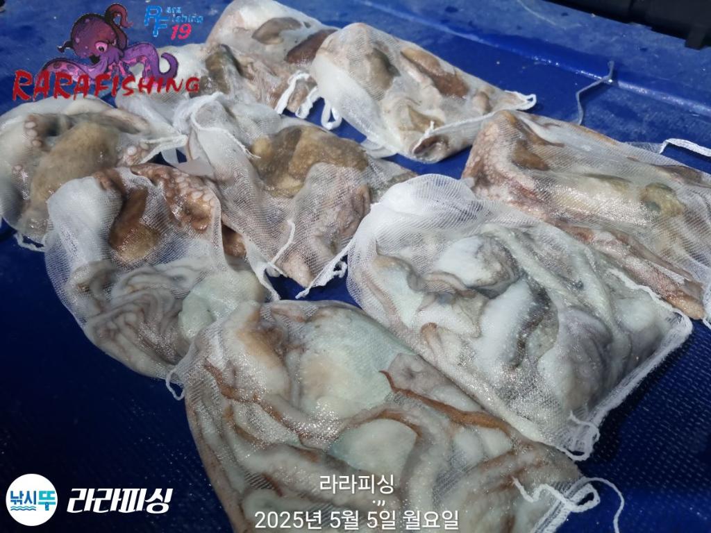 F267140384.jpg