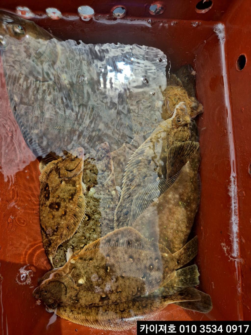 낚시뚜,기타 (직접입력),영일만항,포항카이져호,낚시뚜14
