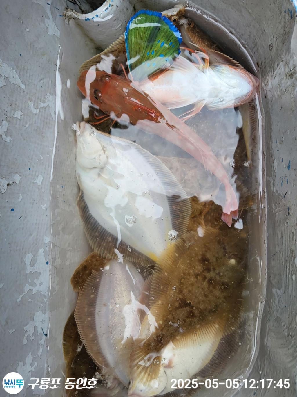 F2671556C0.jpg