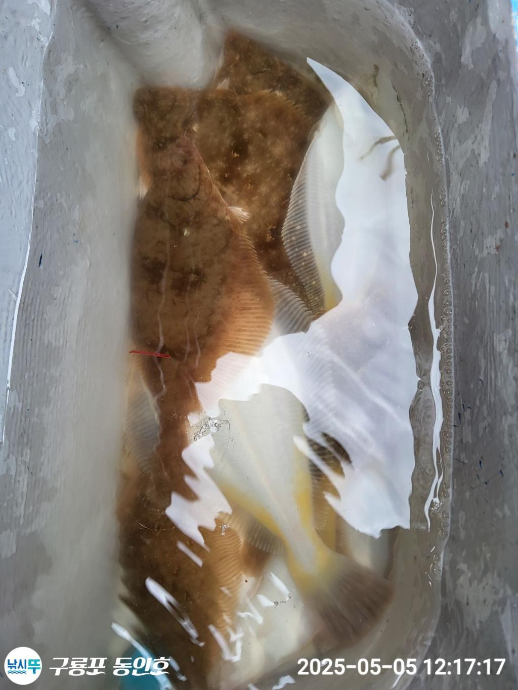 F267156081.jpg