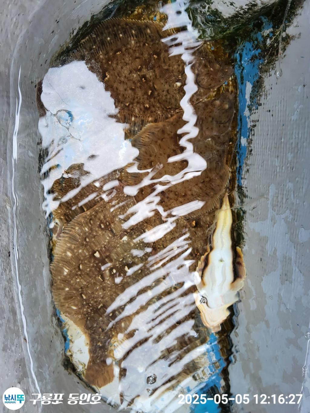 F2671566B8.jpg