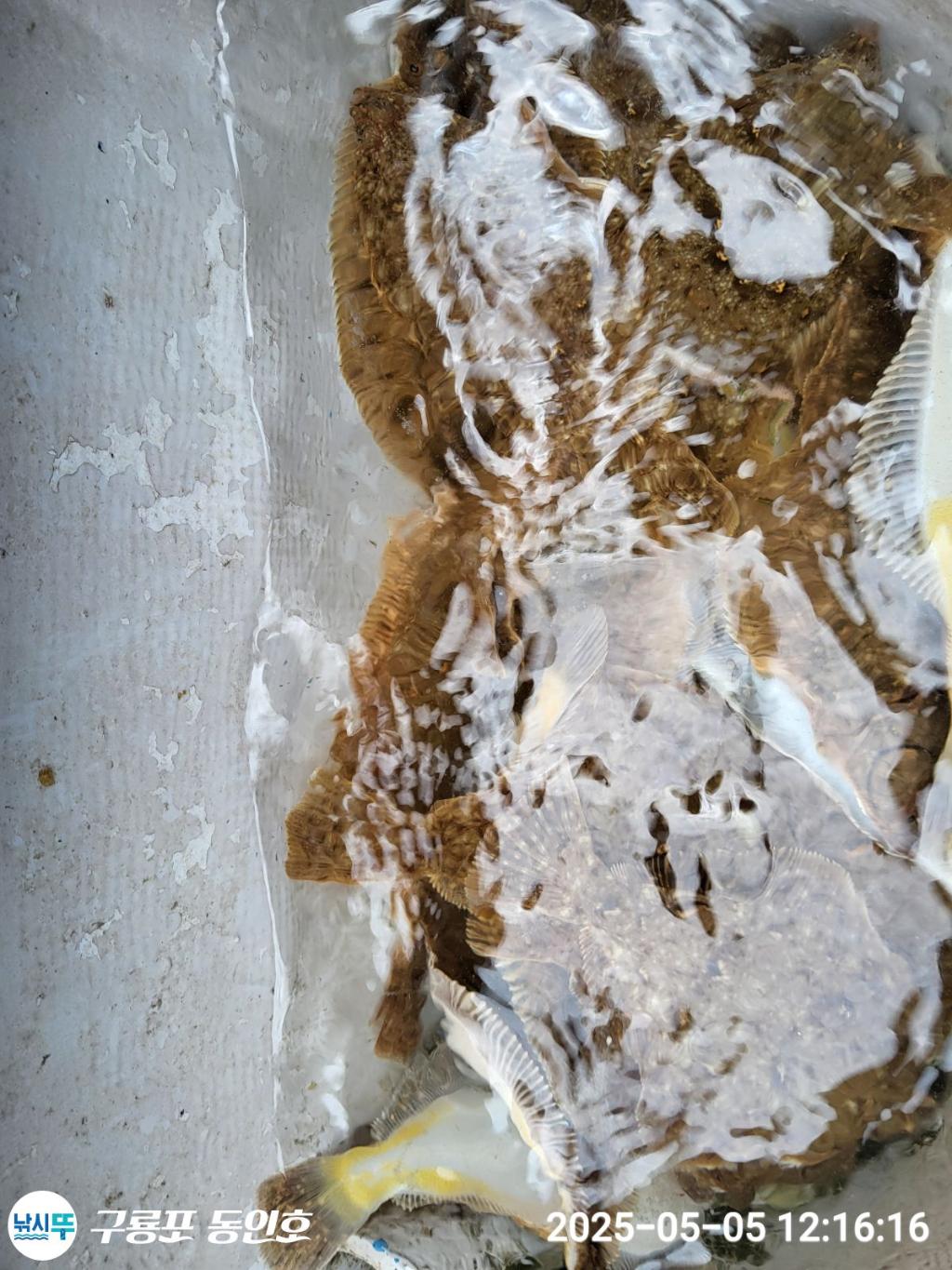 F2671568DZ.jpg
