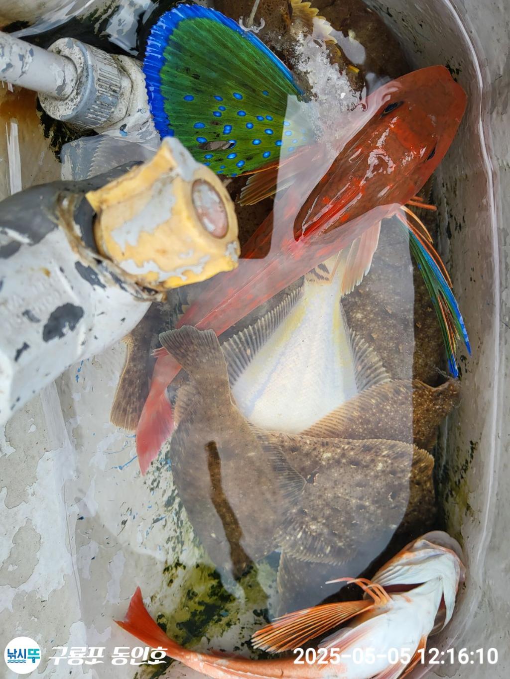 F2671569E2.jpg