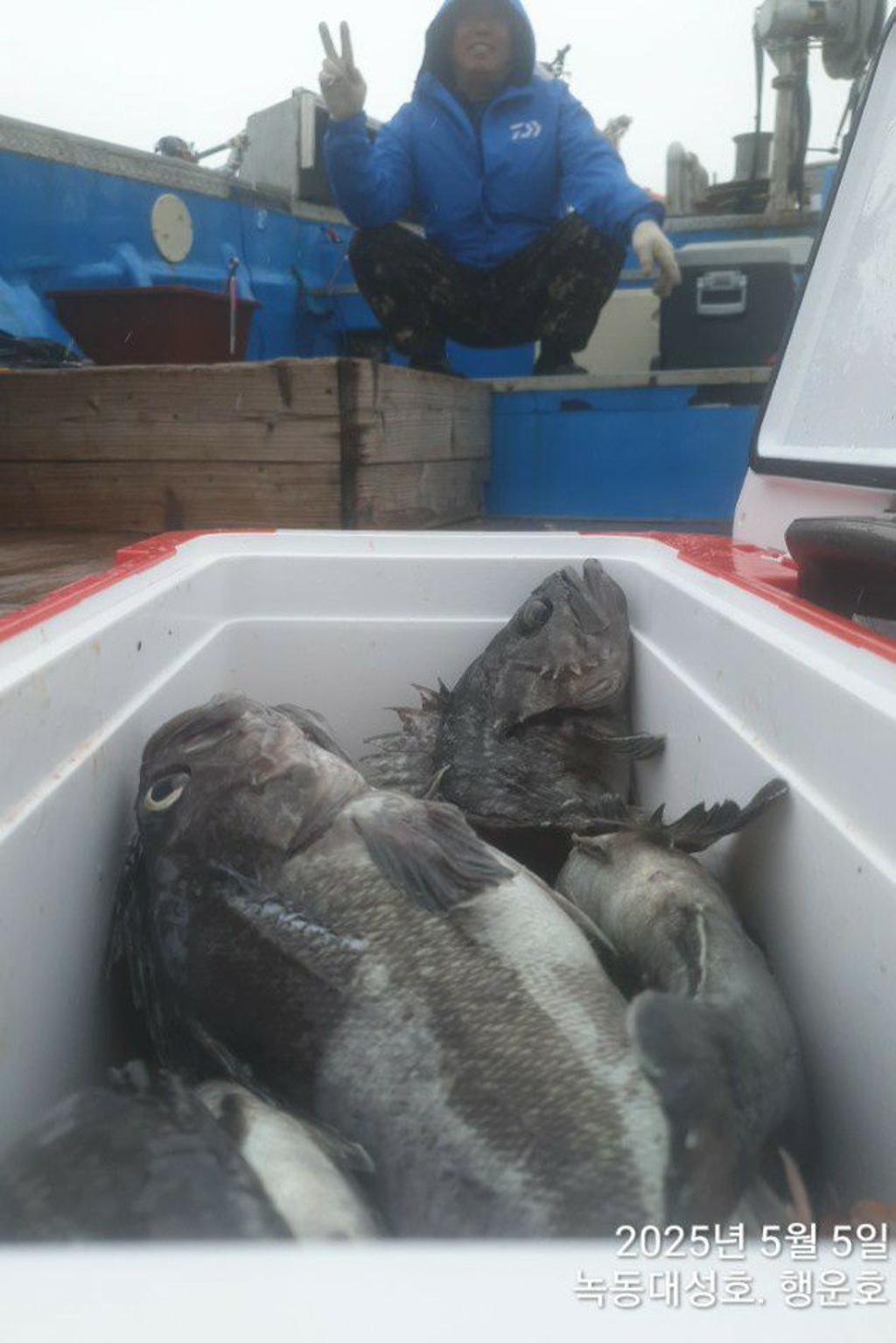 낚시뚜,우럭,열기,녹동항,녹동대성호,낚시뚜39