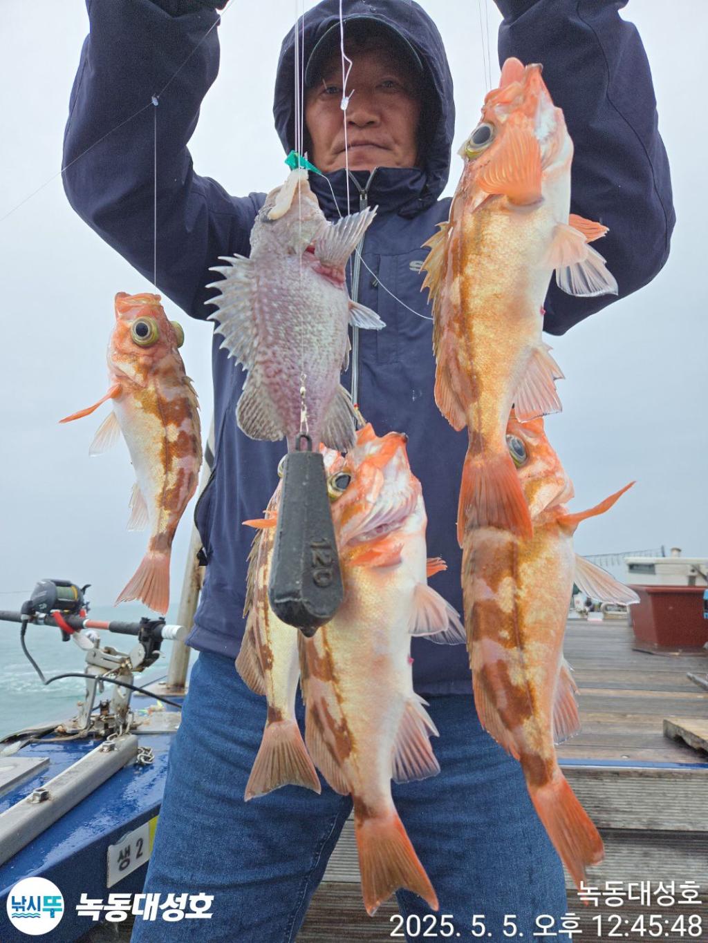 낚시뚜,우럭,열기,녹동항,녹동대성호,낚시뚜15