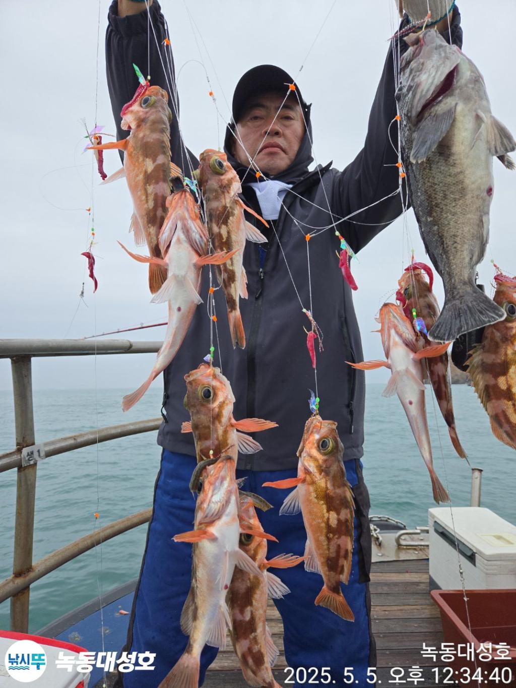 낚시뚜,우럭,열기,녹동항,녹동대성호,낚시뚜13