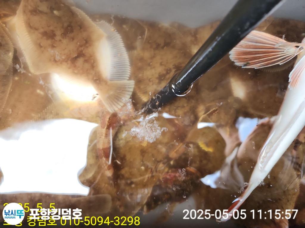 F2671671K6.jpg