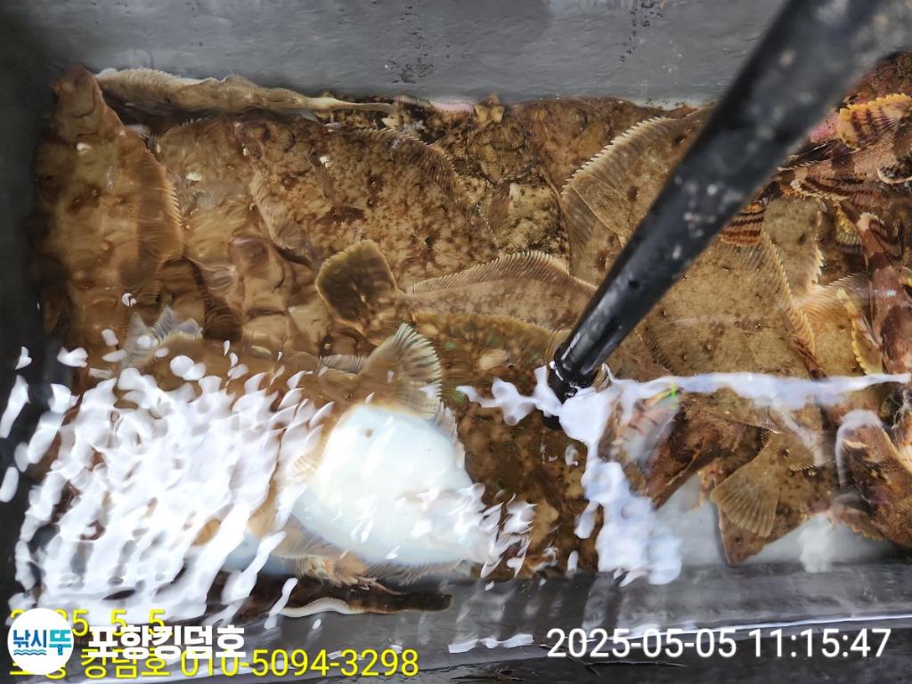 F26716720P.jpg