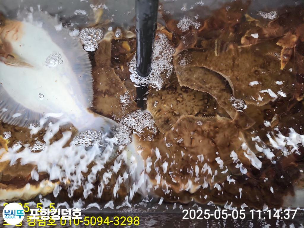 F2671678I9.jpg