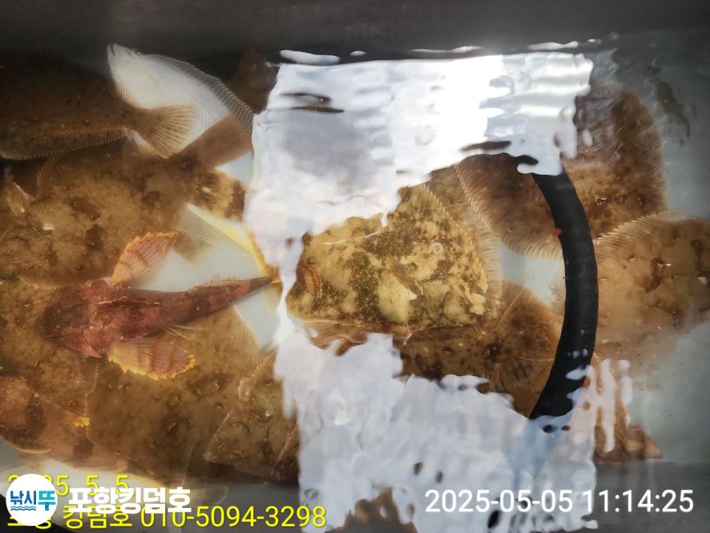 F2671679G8.jpg