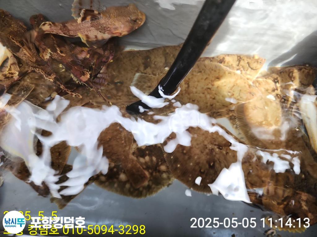 F2671680TY.jpg