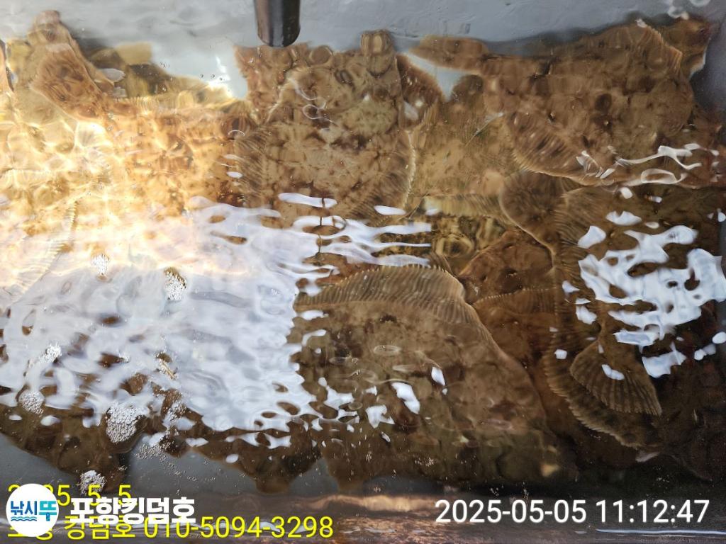 F267168417.jpg