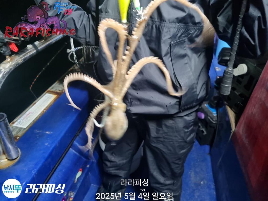 F2671750GO.jpg