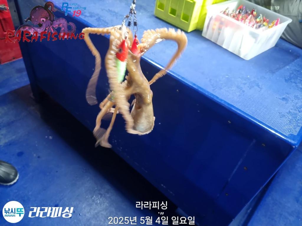 F267175391.jpg