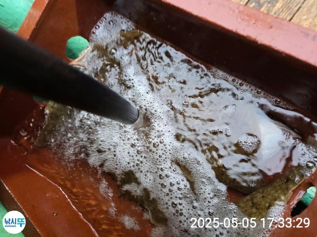 F2671804ID.jpg