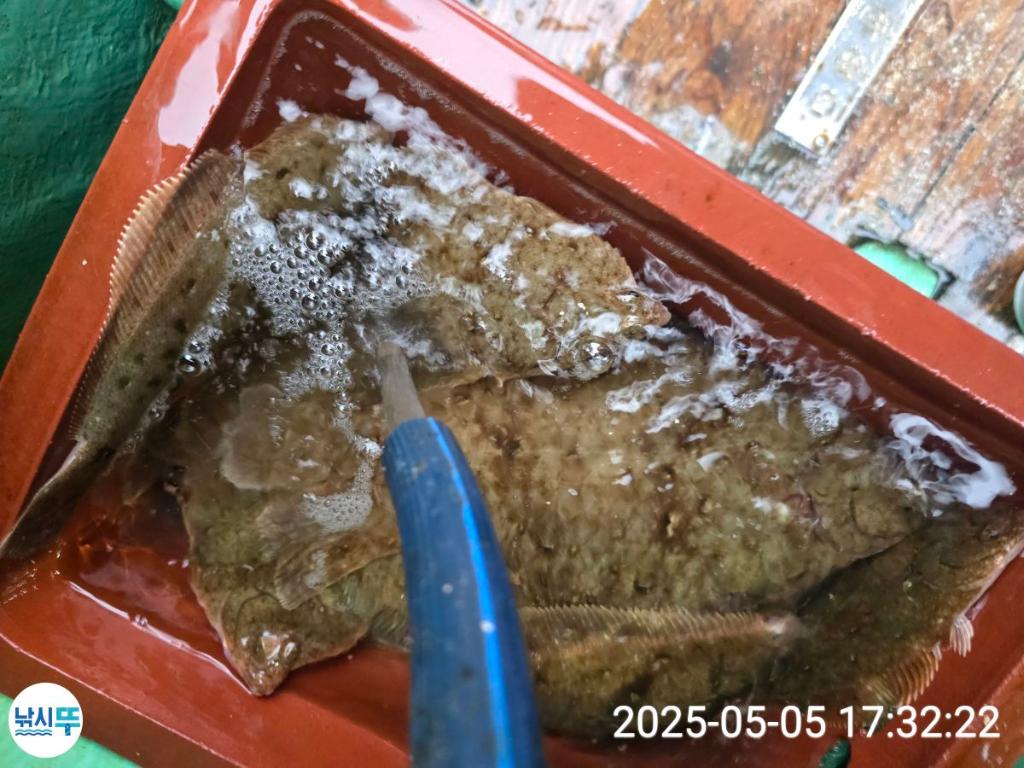 F2671811O2.jpg