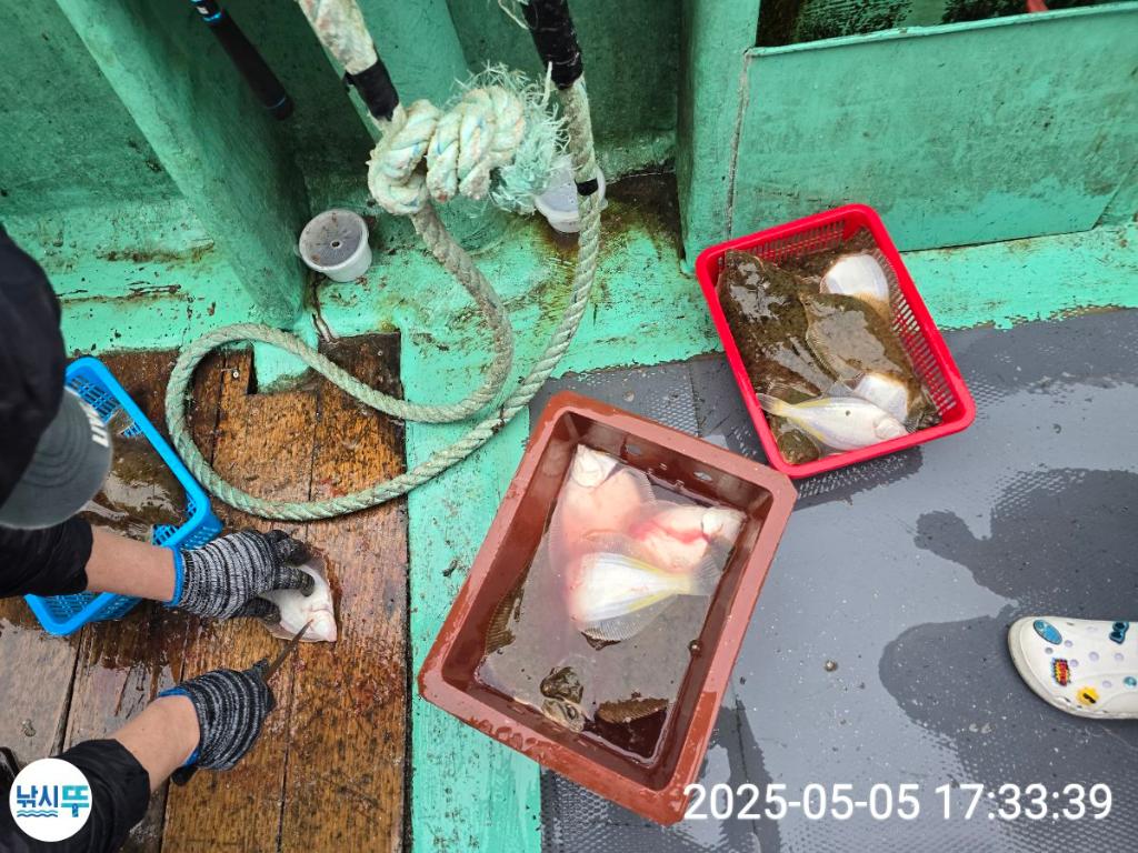F2672139VN.jpg